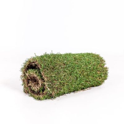 Real Grass x Pixi Lane